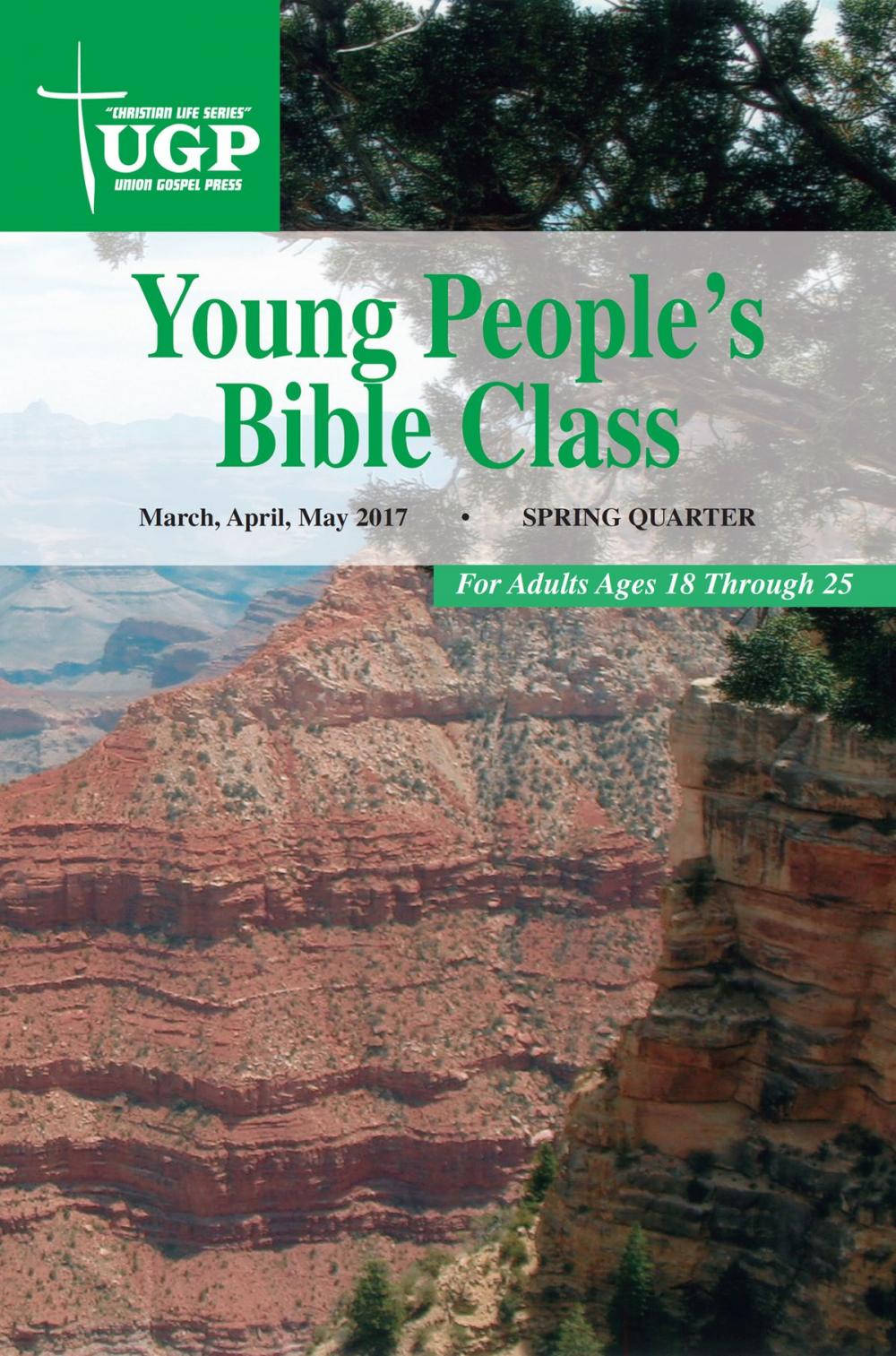 Big bigCover of Young People’s Bible Class