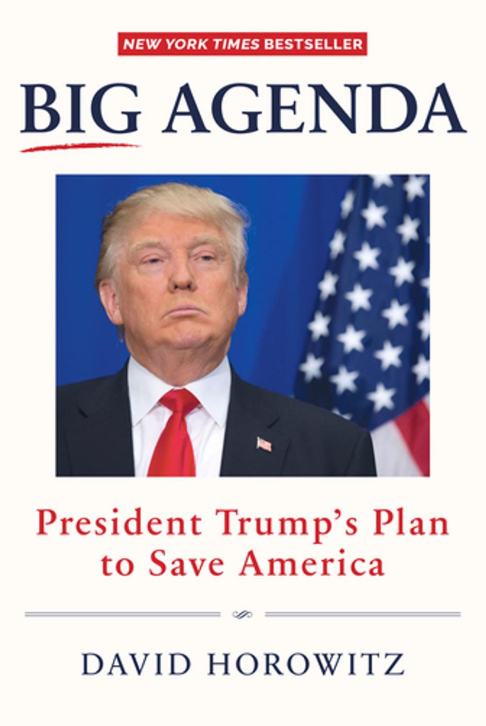 Big bigCover of Big Agenda