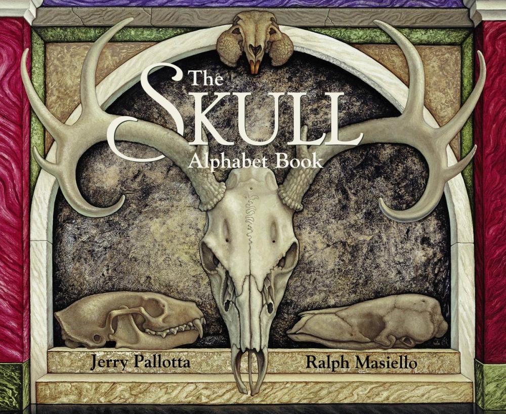 Big bigCover of The Skull Alphabet Book