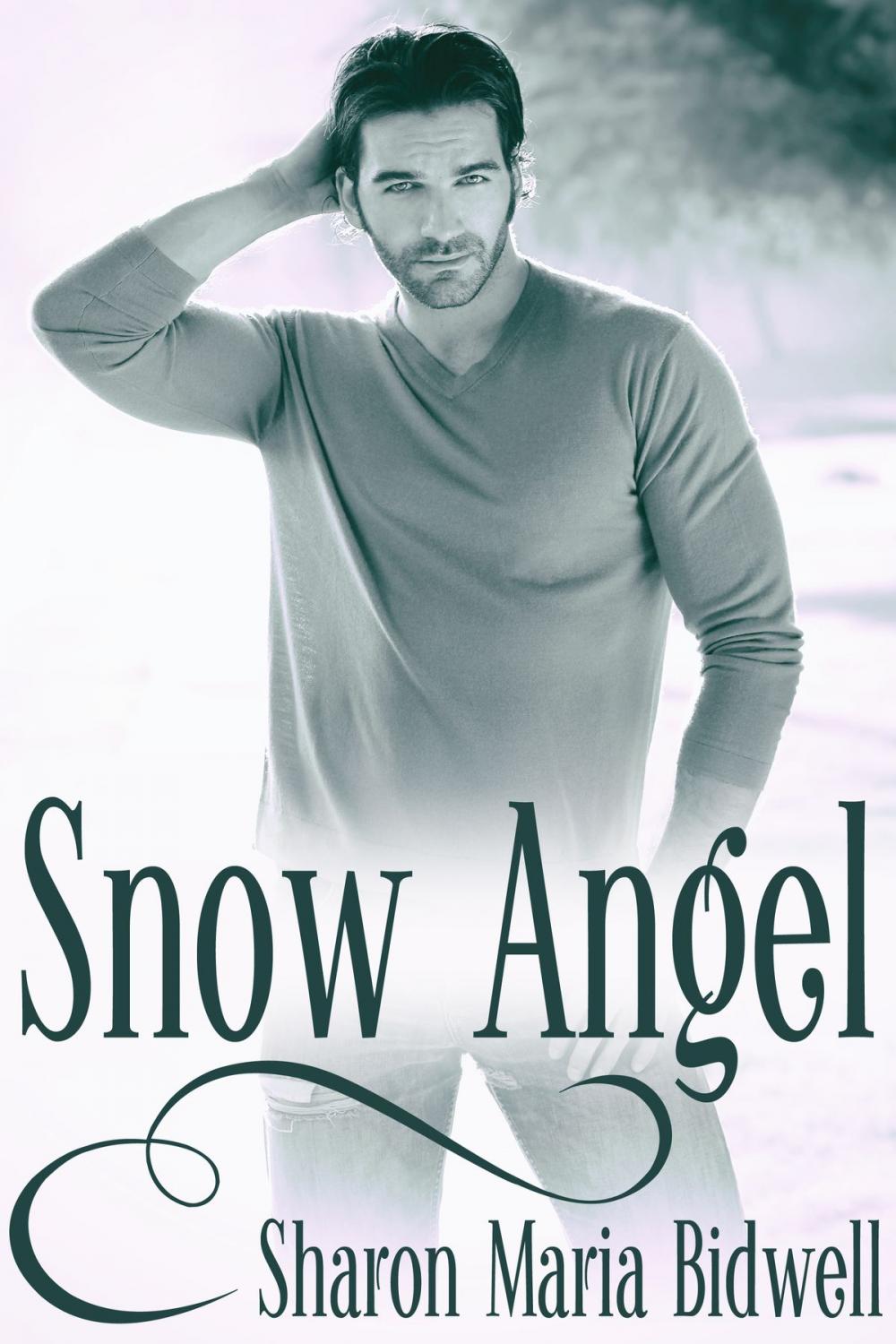 Big bigCover of Snow Angel