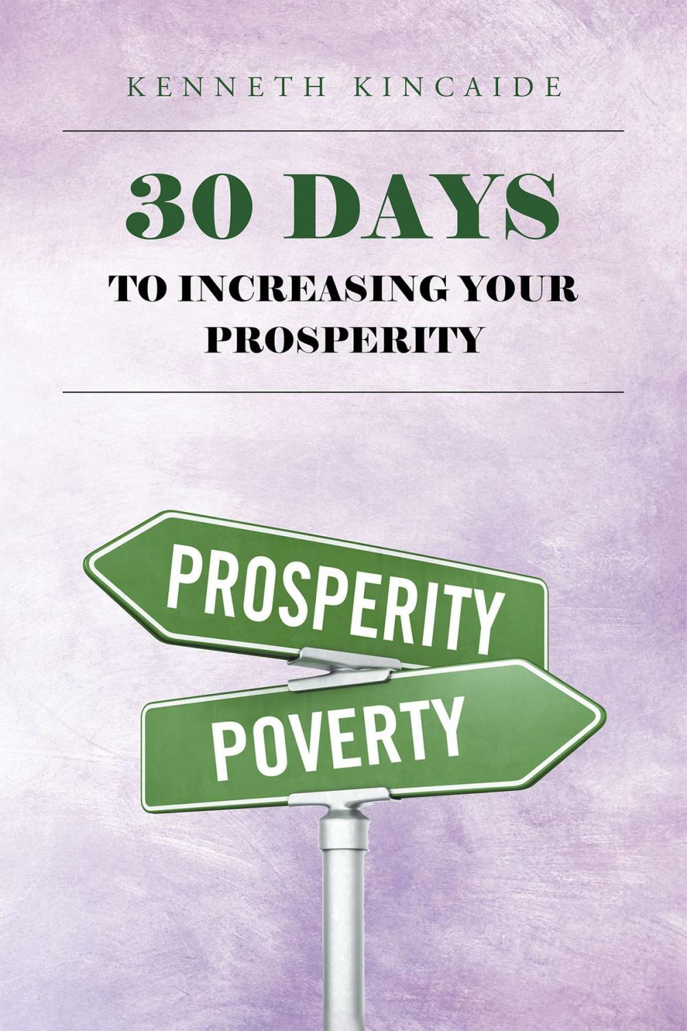 Big bigCover of 30 Days to Increasing Your Prosperity