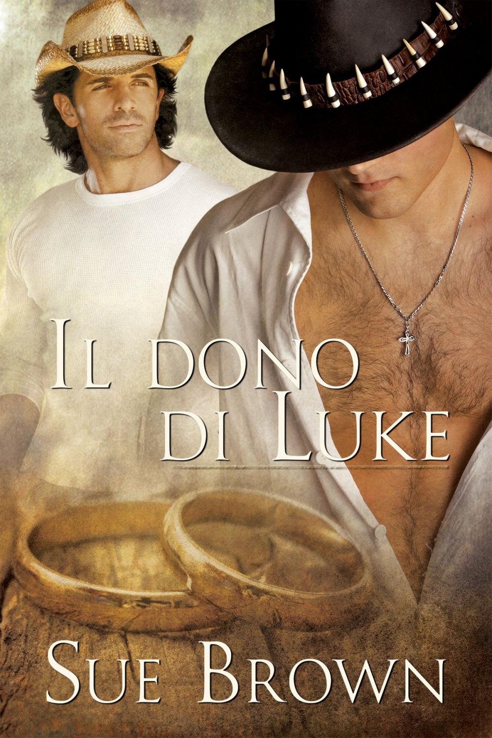 Big bigCover of Il dono di Luke