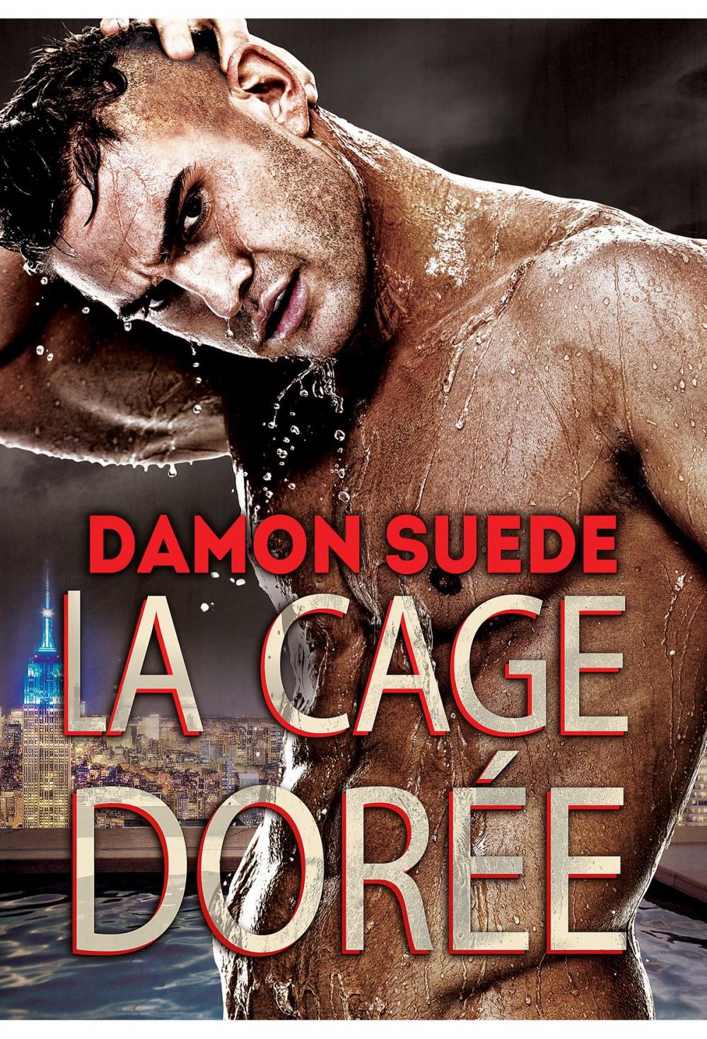 Big bigCover of La cage dorée