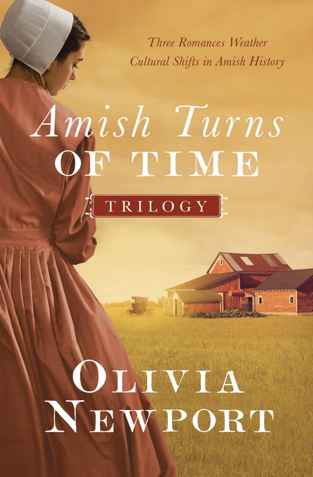 Big bigCover of The Amish Turns of Time Trilogy