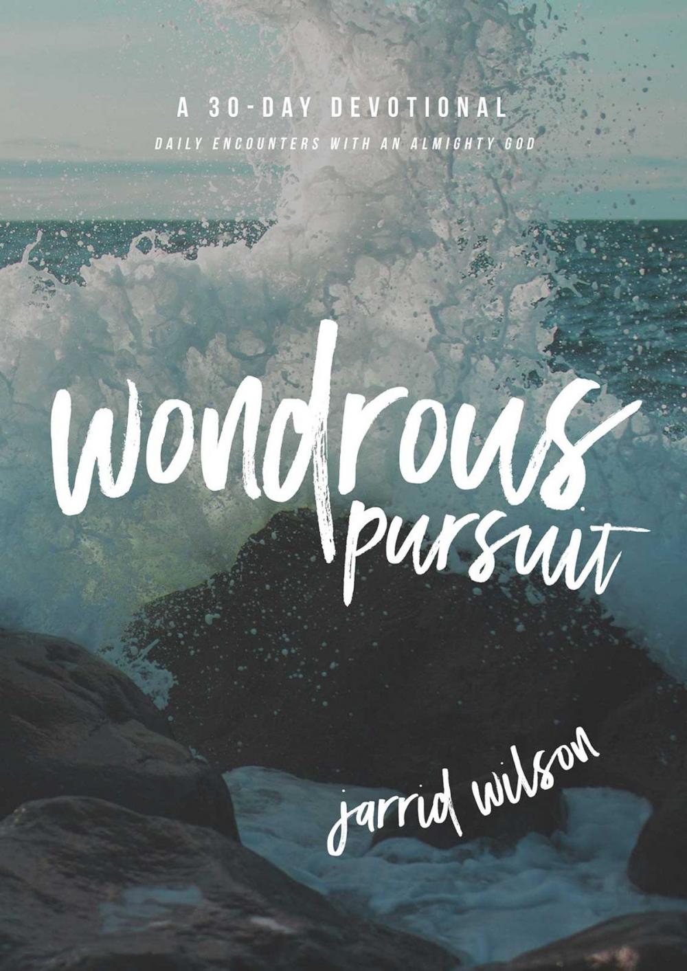 Big bigCover of Wondrous Pursuit