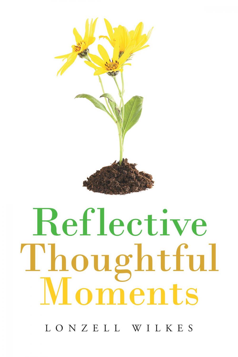 Big bigCover of Reflective Thoughtful Moments