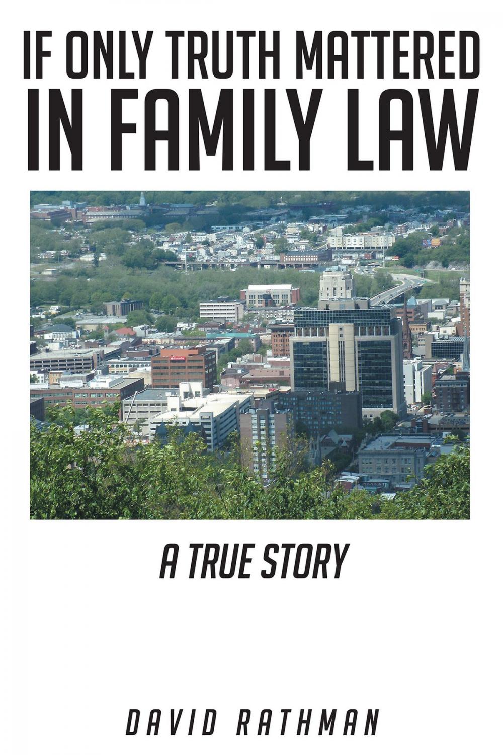 Big bigCover of If Only Truth Mattered in Family Law