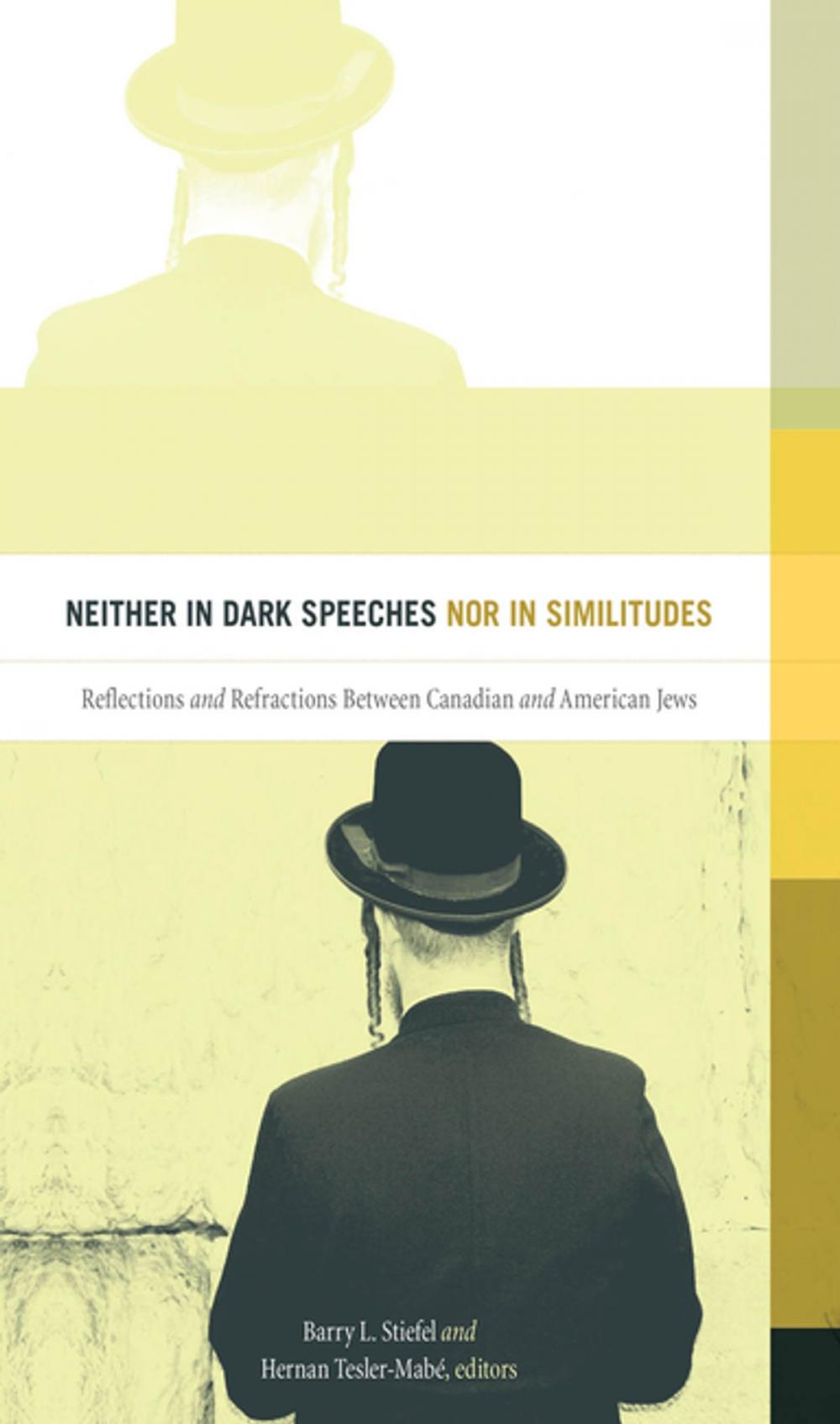 Big bigCover of Neither in Dark Speeches nor in Similitudes