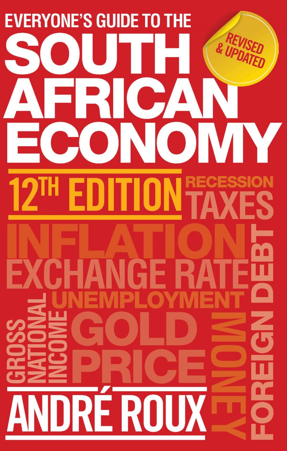 Big bigCover of Everyone’s Guide to the South African Economy 12th edition