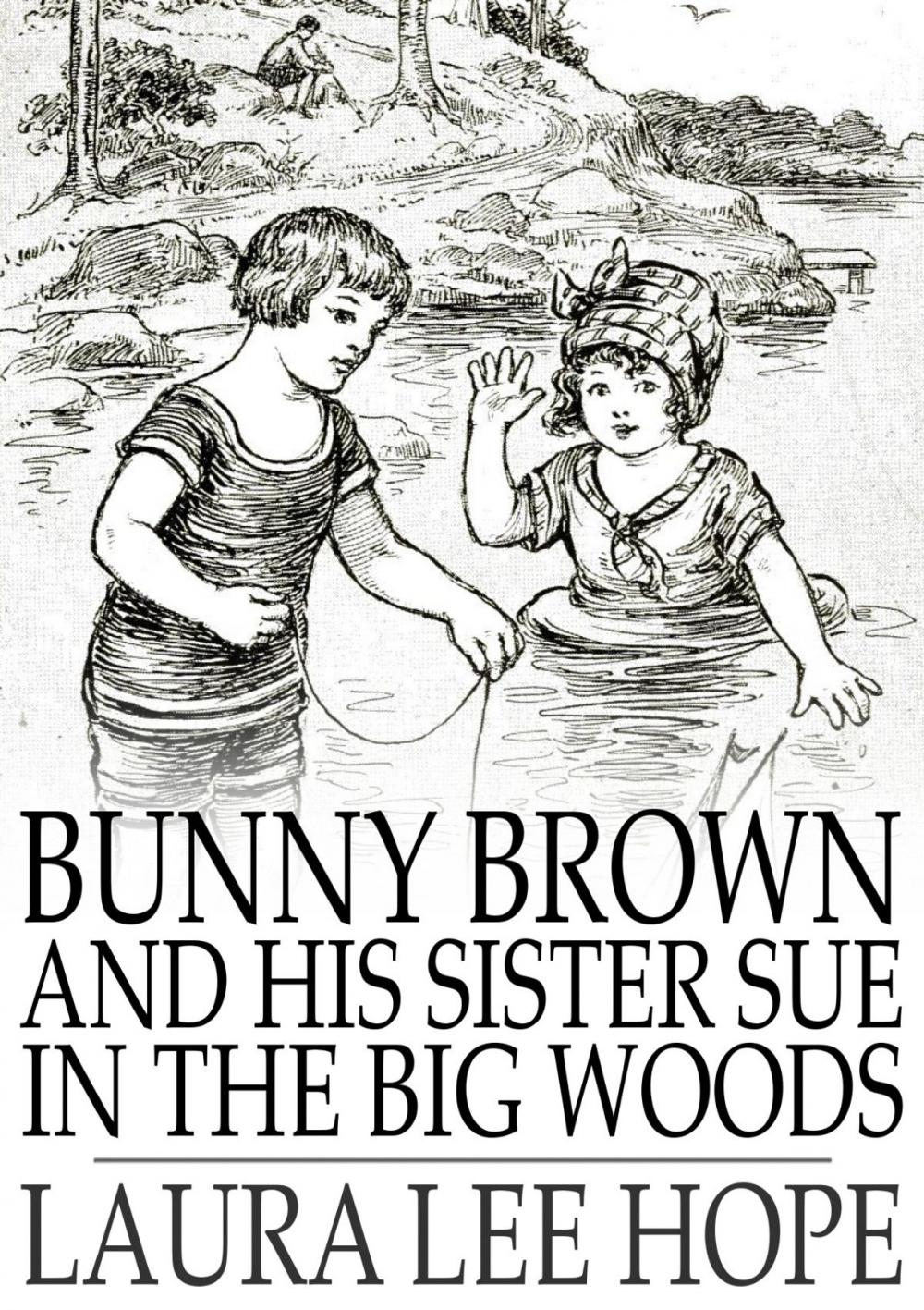 Big bigCover of Bunny Brown and His Sister Sue in the Big Woods