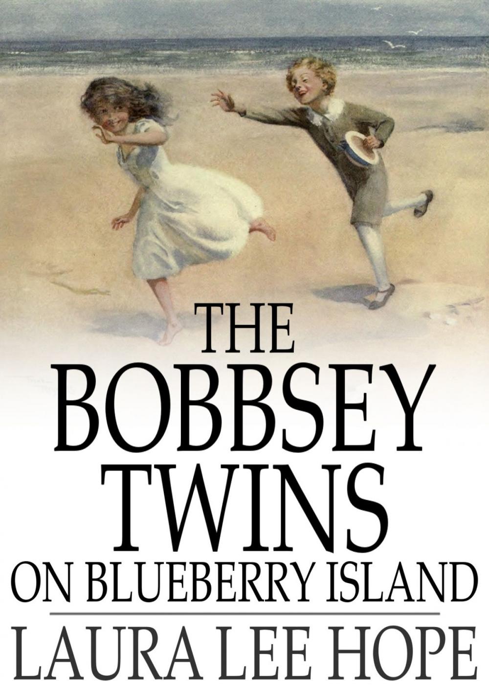 Big bigCover of The Bobbsey Twins on Blueberry Island