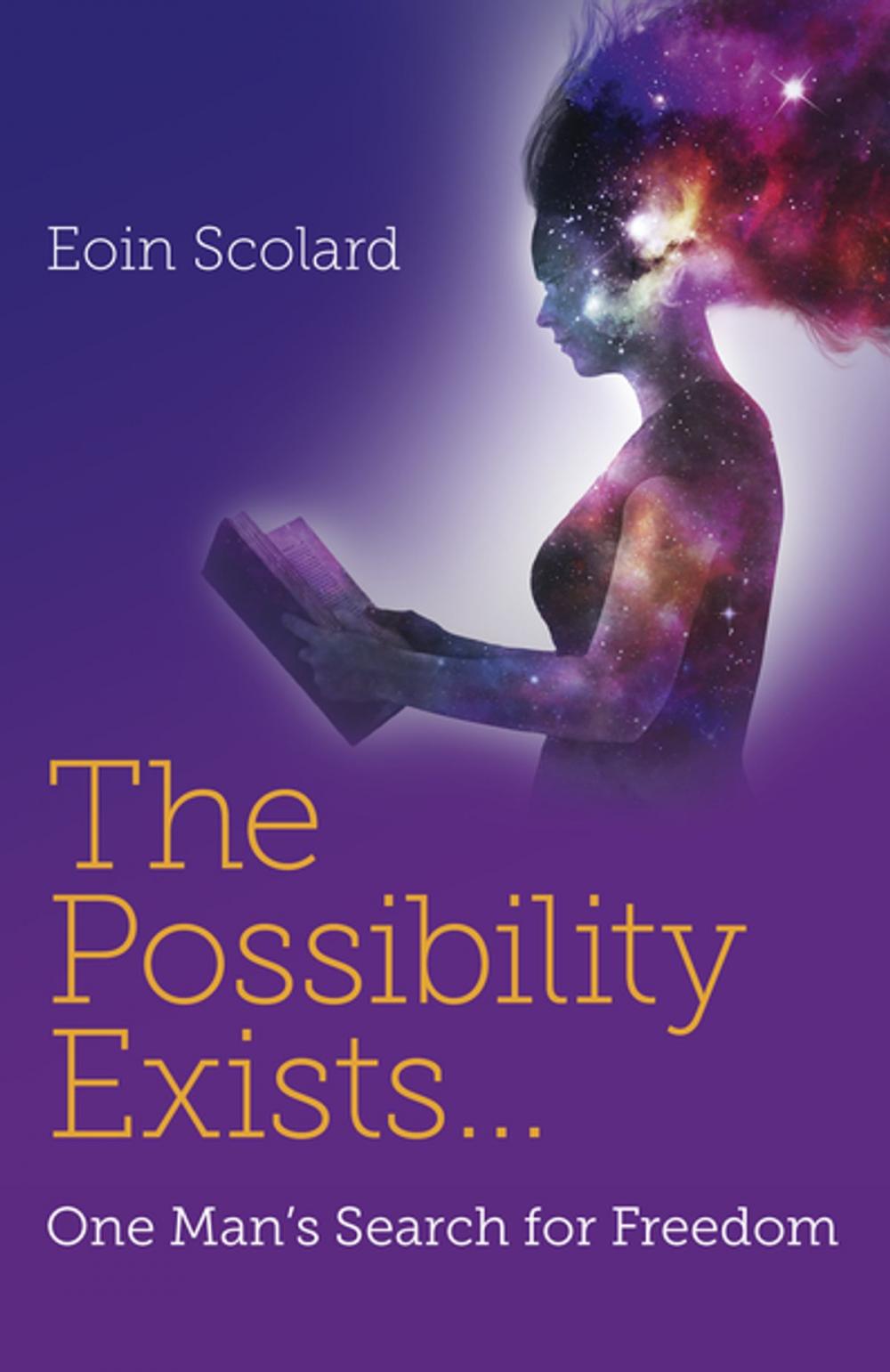 Big bigCover of The Possibility Exists ...