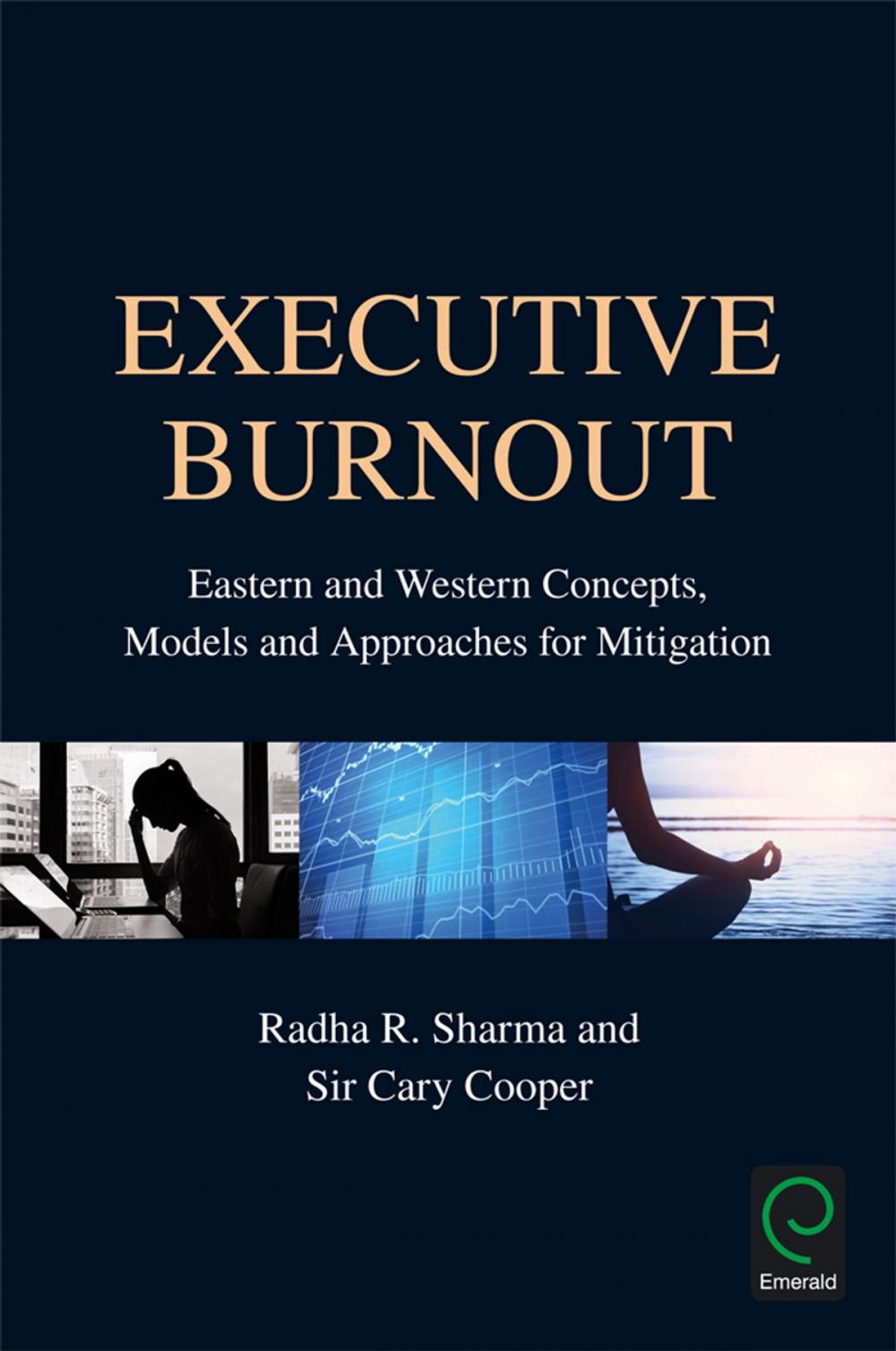 Big bigCover of Executive Burnout