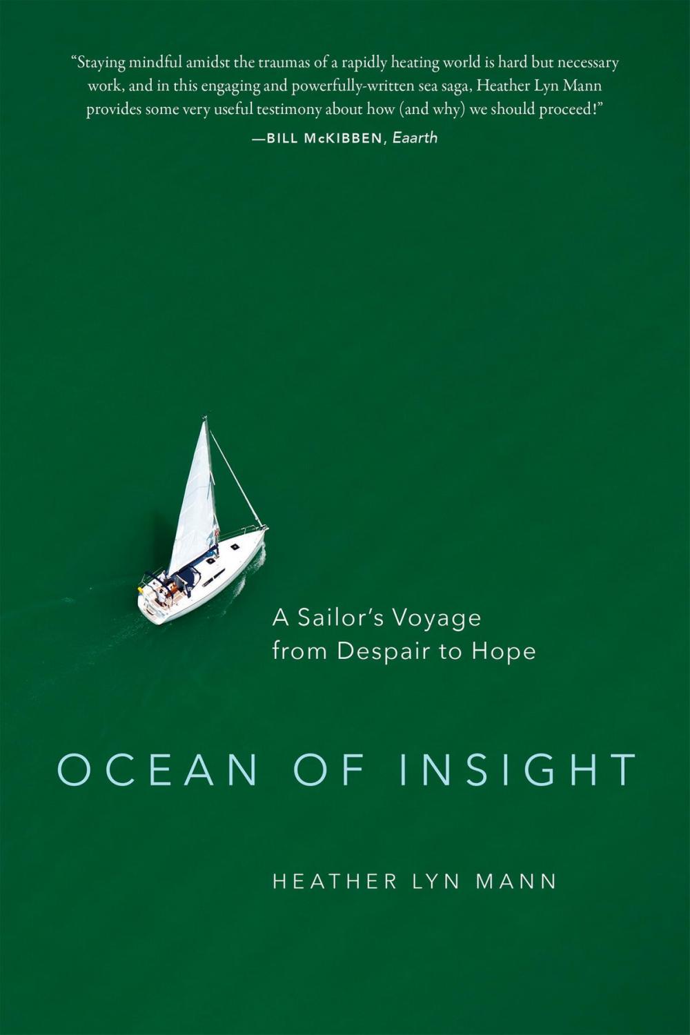 Big bigCover of Ocean of Insight