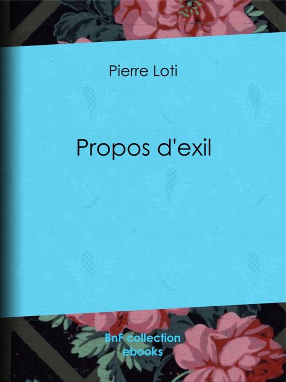 Big bigCover of Propos d'exil