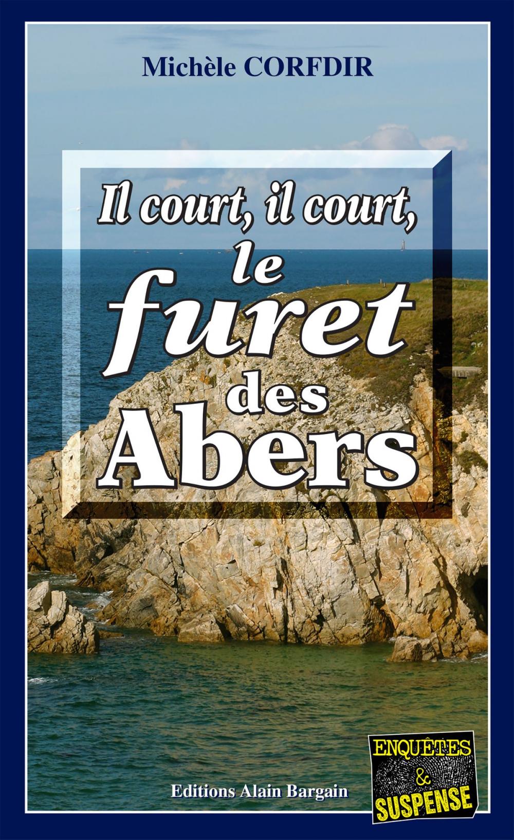 Big bigCover of Il court, il court le furêt des Abers