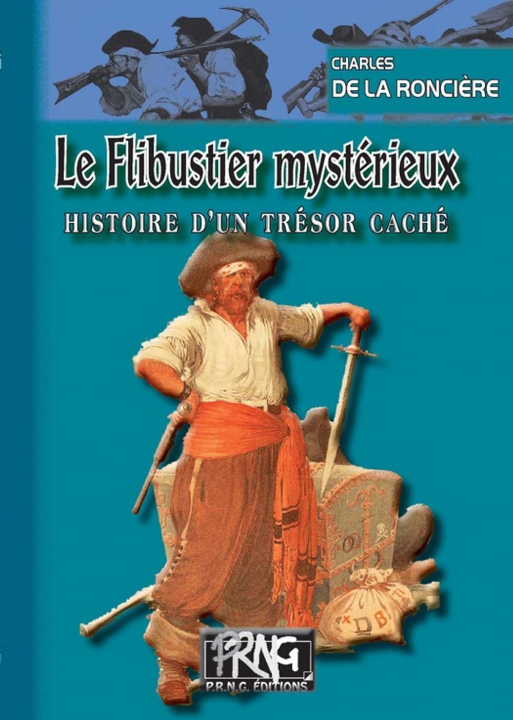 Big bigCover of Le Flibustier mystérieux