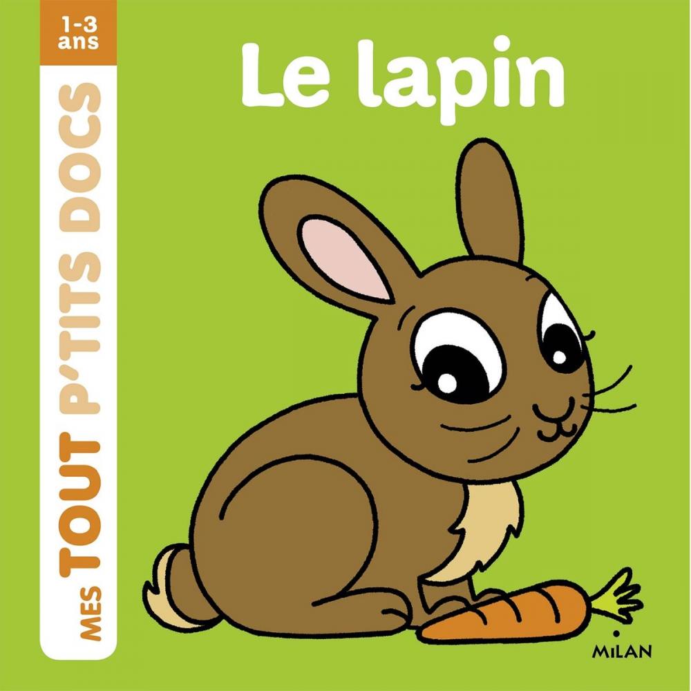 Big bigCover of Le lapin