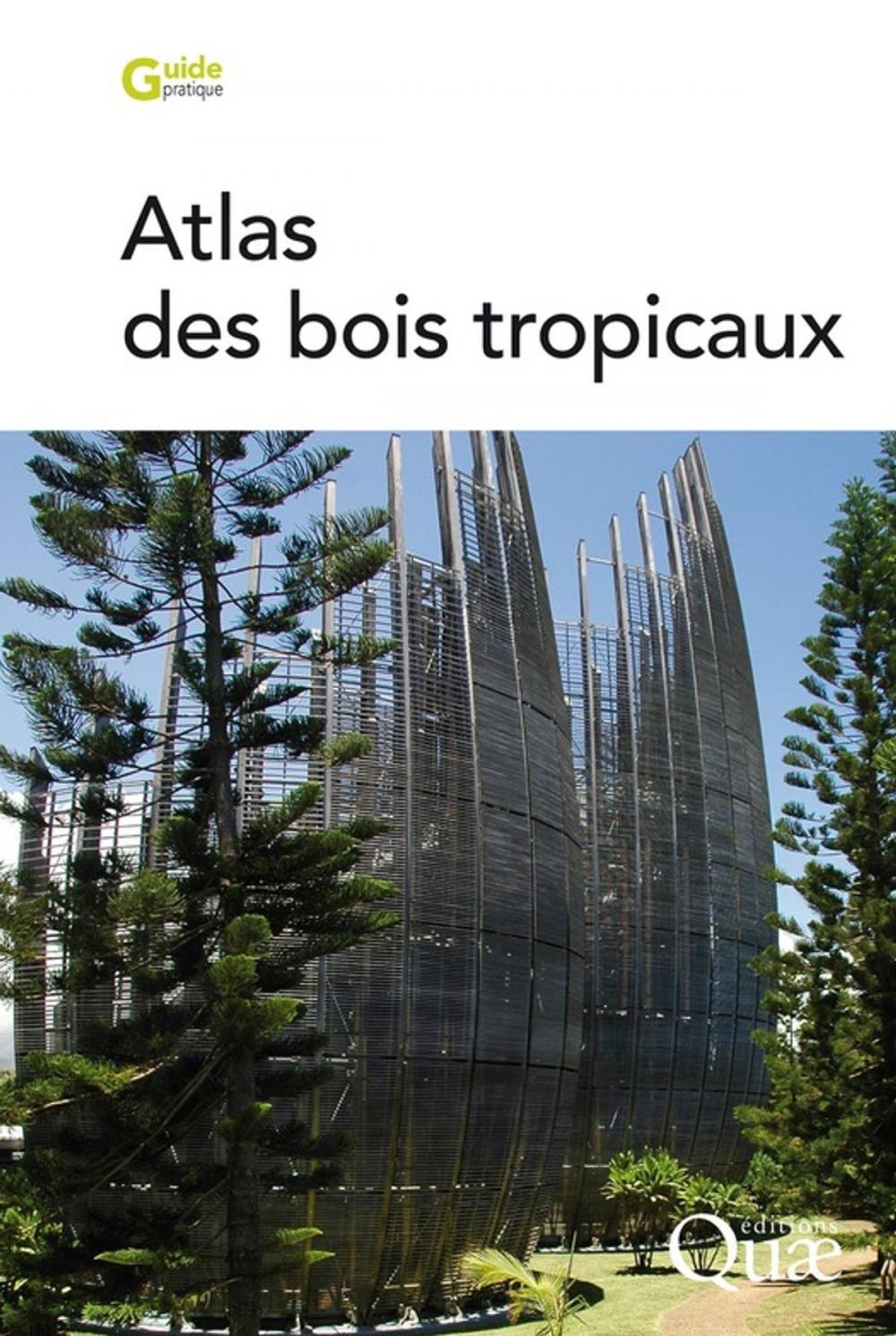 Big bigCover of Atlas des bois tropicaux