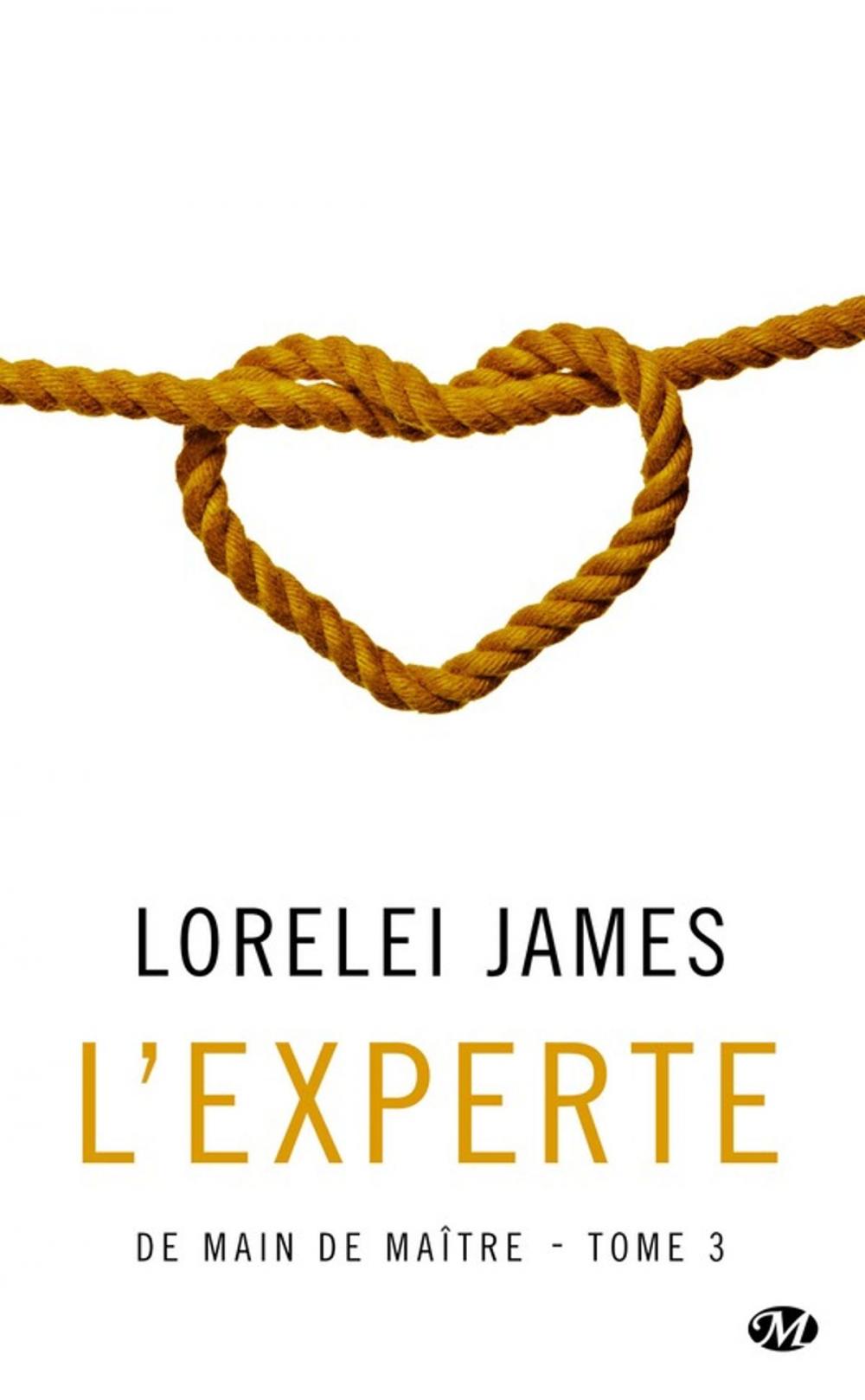 Big bigCover of L'Experte