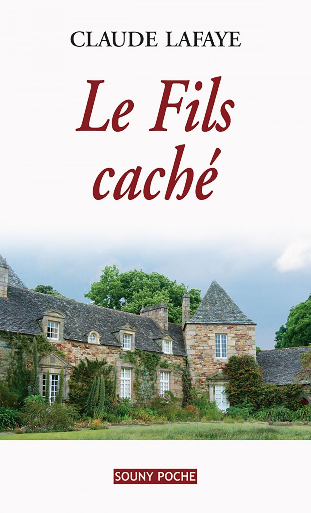 Big bigCover of Le Fils caché