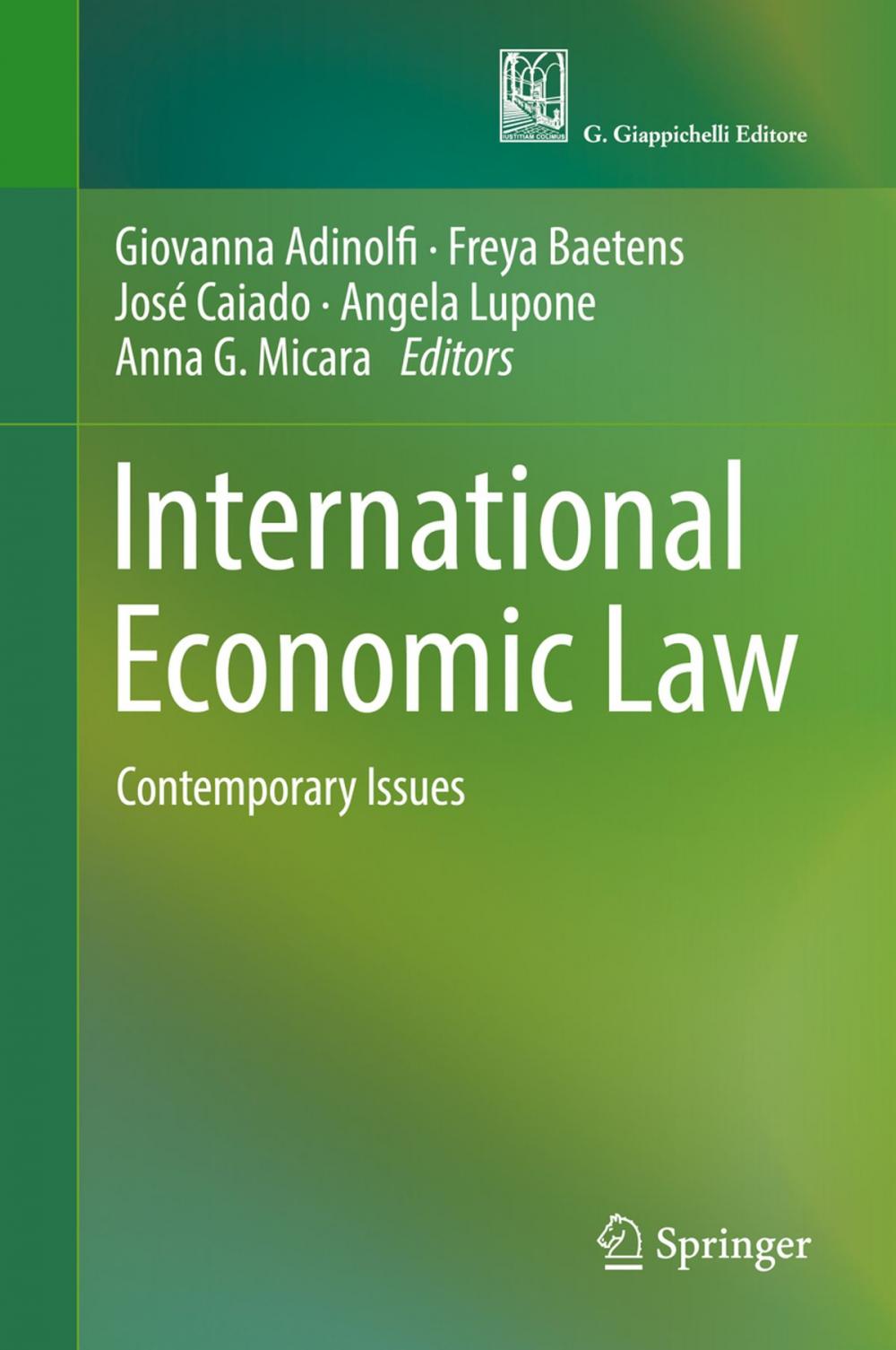 Big bigCover of International Economic Law