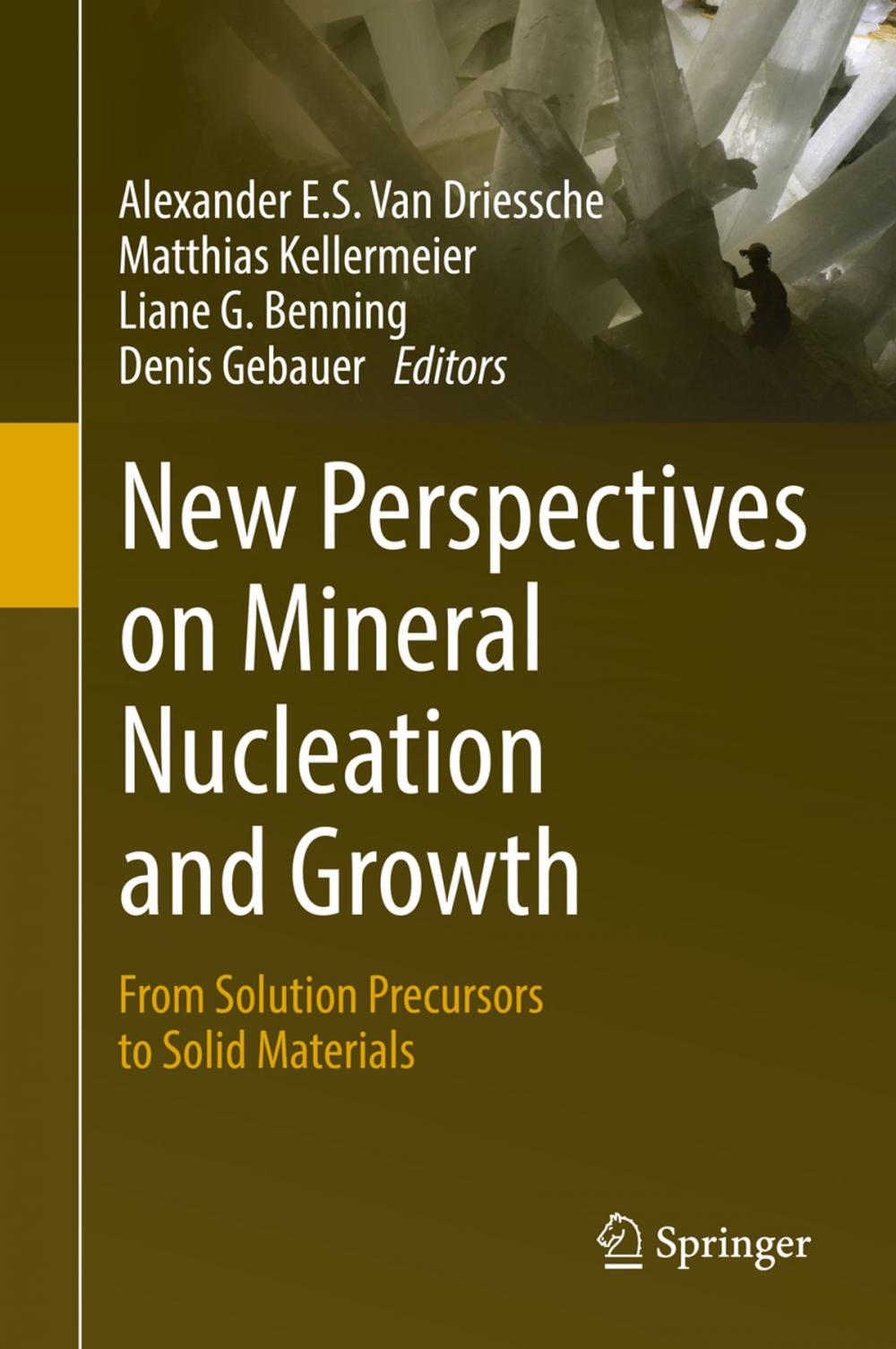 Big bigCover of New Perspectives on Mineral Nucleation and Growth