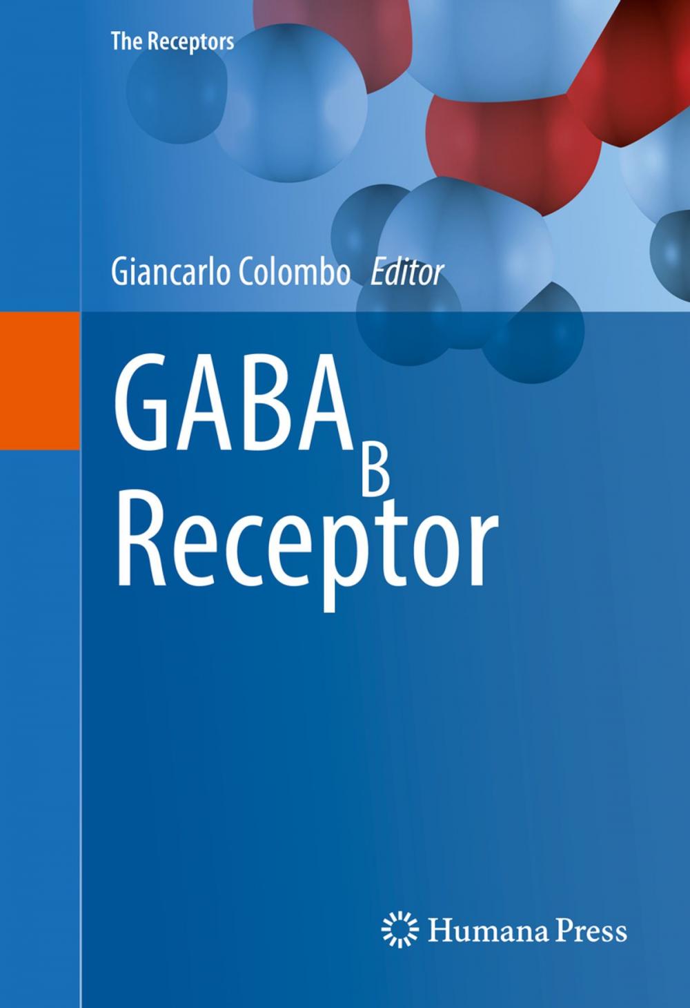 Big bigCover of GABAB Receptor