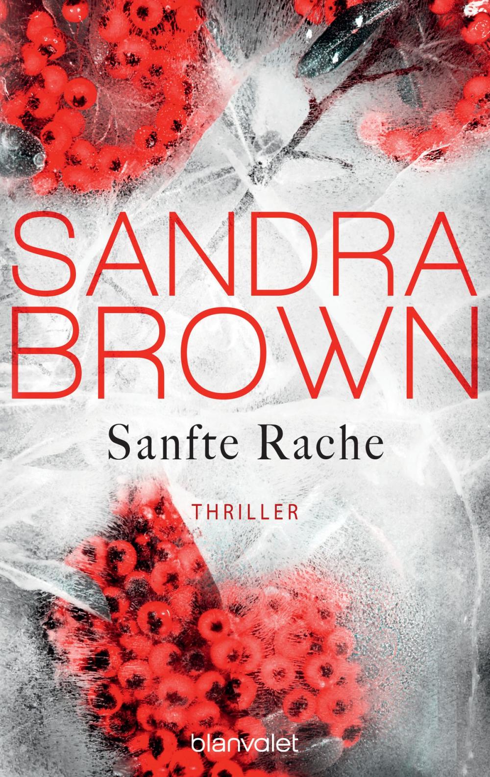 Big bigCover of Sanfte Rache