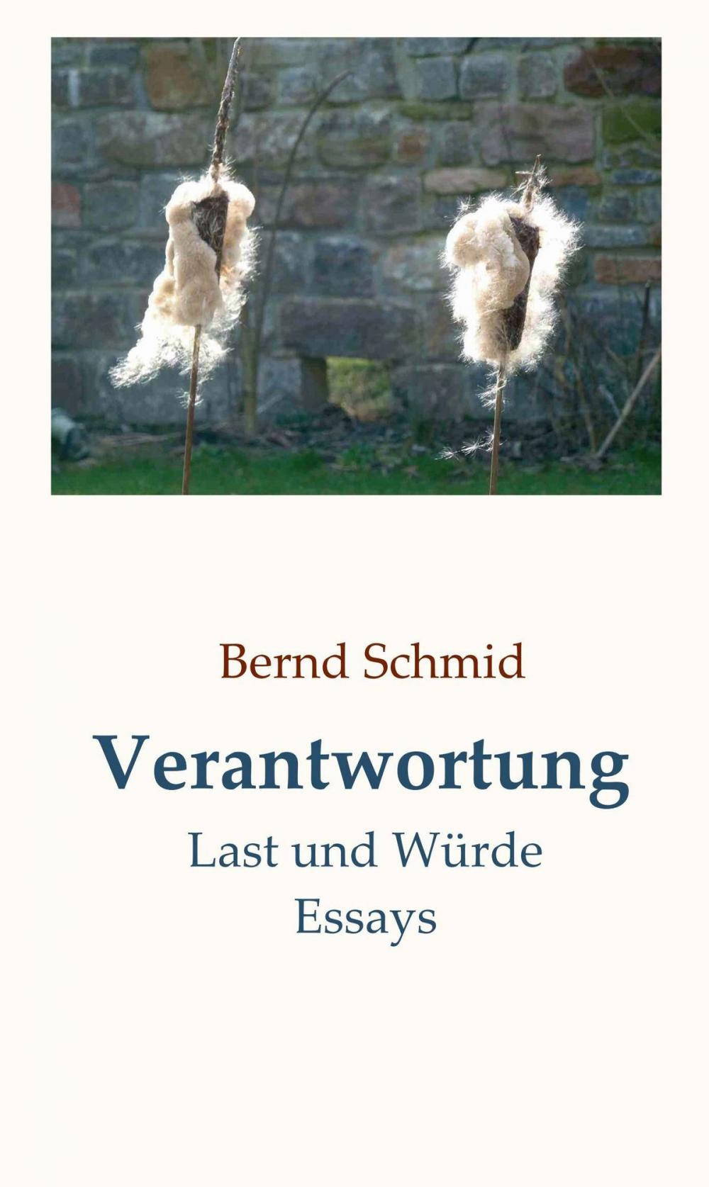 Big bigCover of Verantwortung