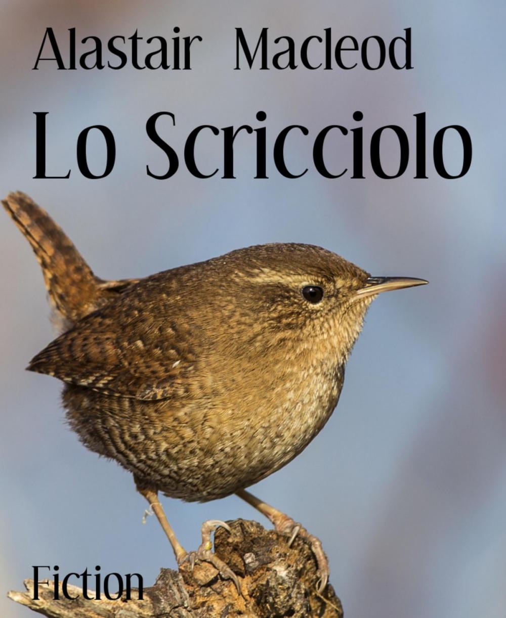 Big bigCover of Lo Scricciolo