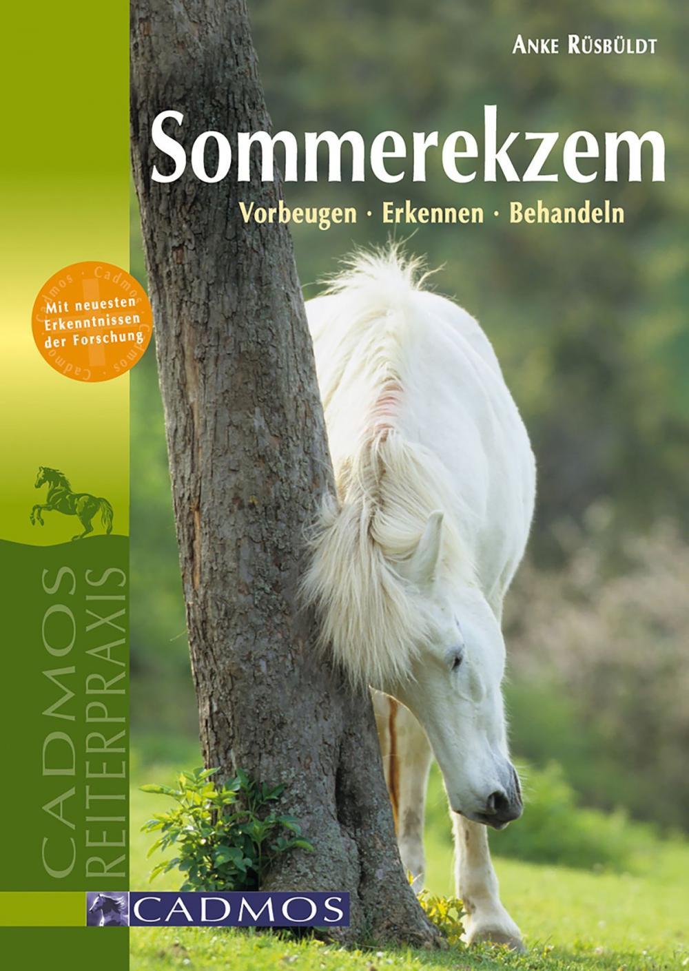 Big bigCover of Sommerekzem