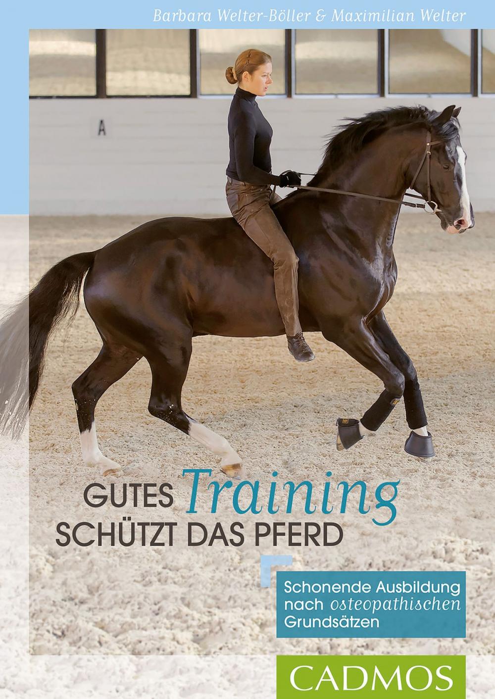 Big bigCover of Gutes Training schützt das Pferd