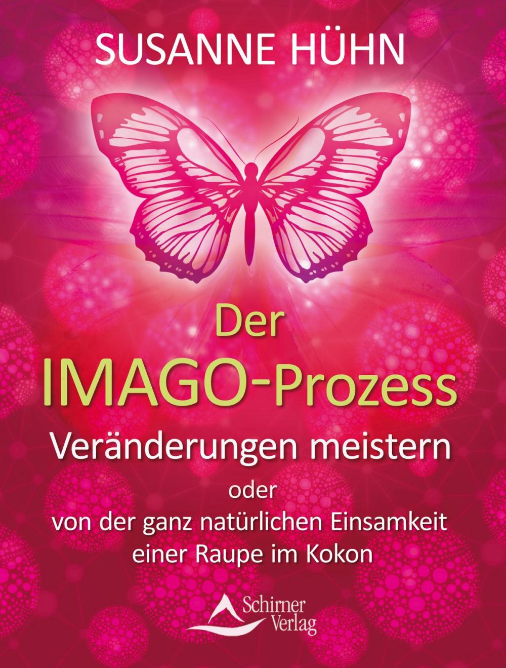Big bigCover of Der Imago-Prozess