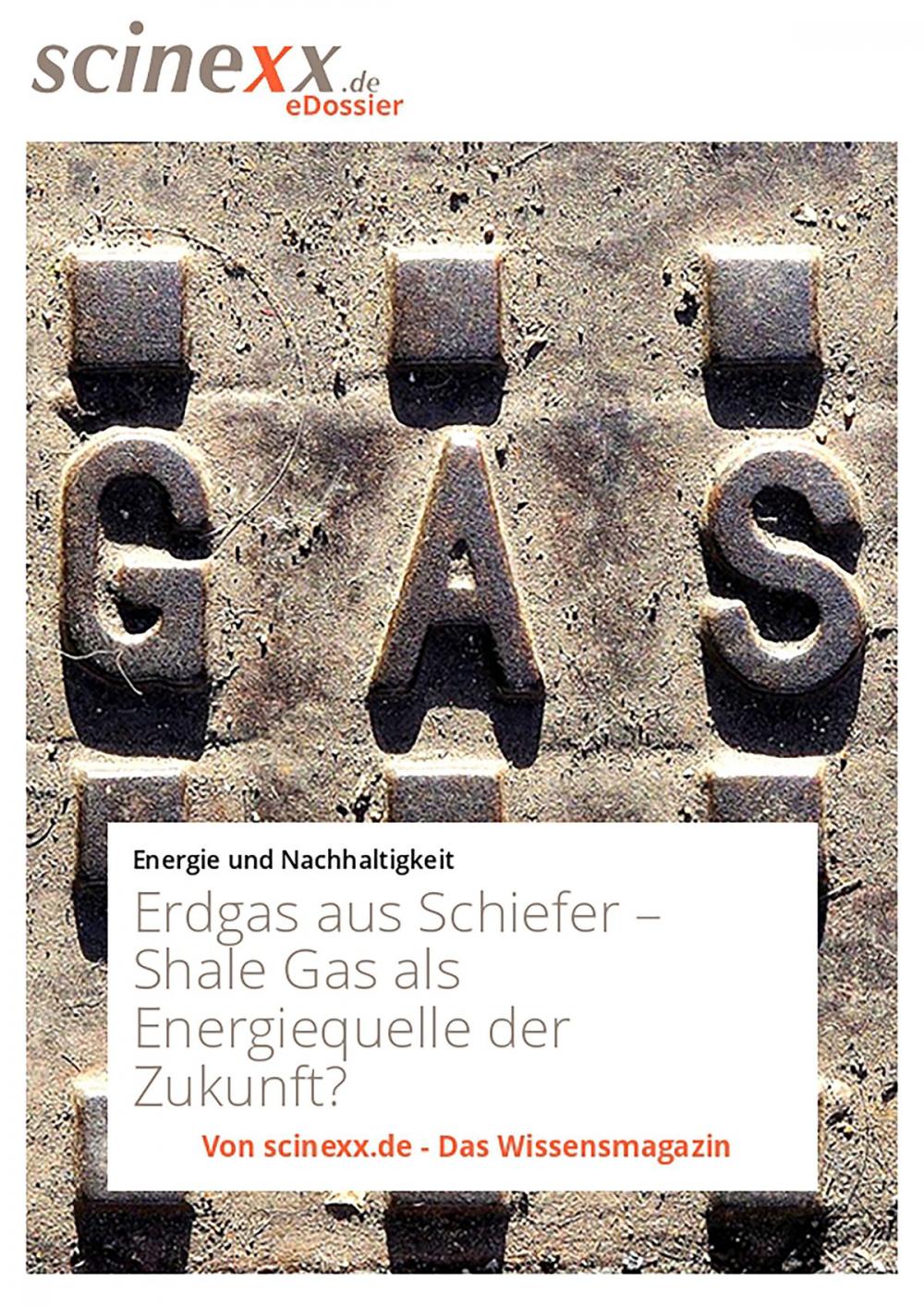 Big bigCover of Erdgas aus Schiefer