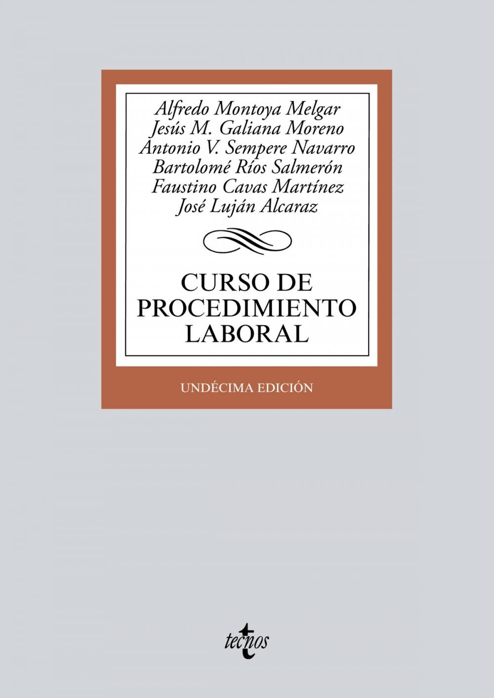 Big bigCover of Curso de procedimiento laboral