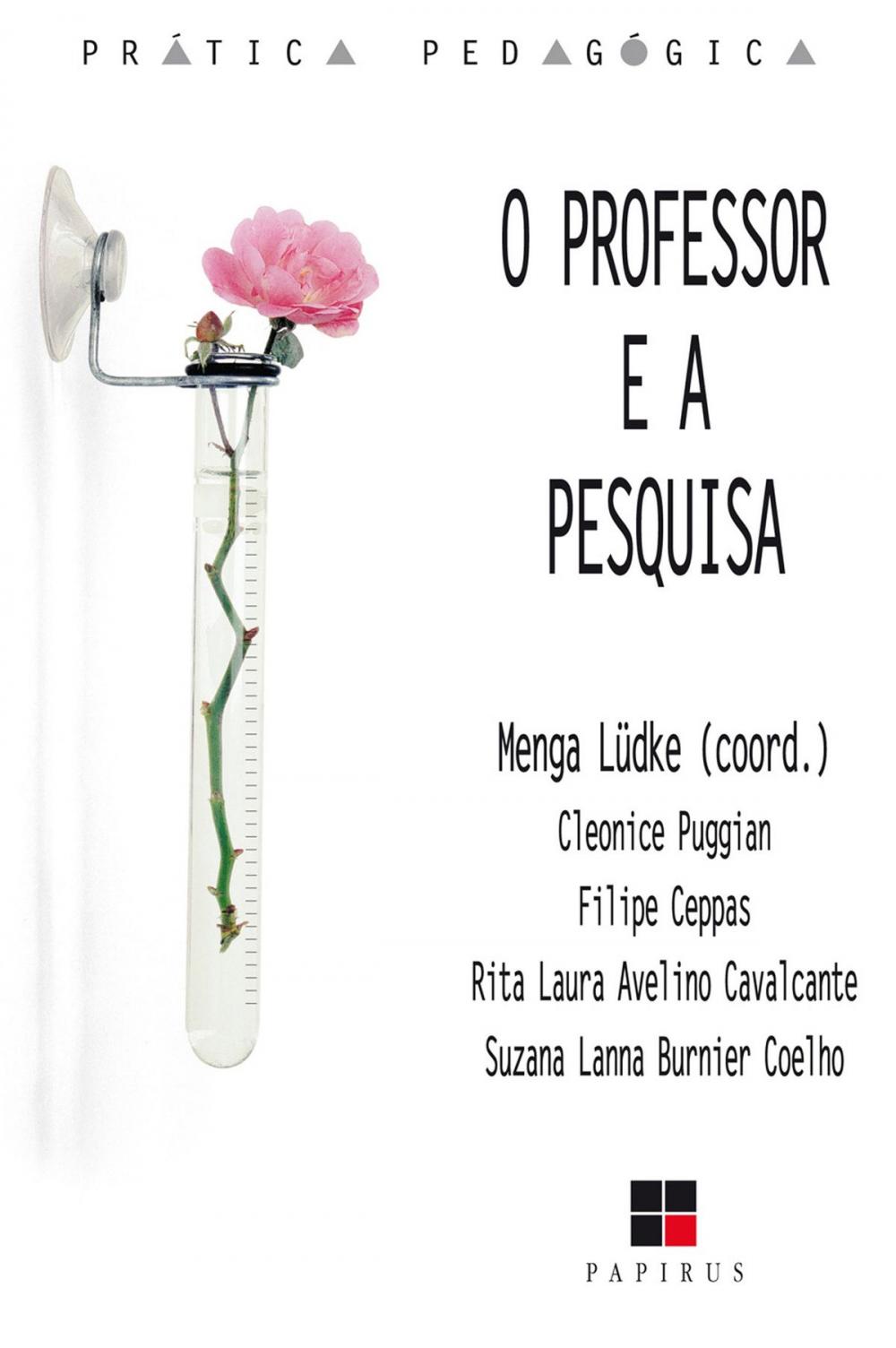 Big bigCover of O Professor e a pesquisa