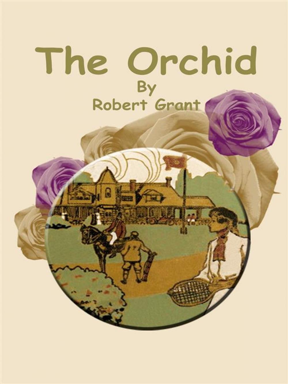 Big bigCover of The Orchid