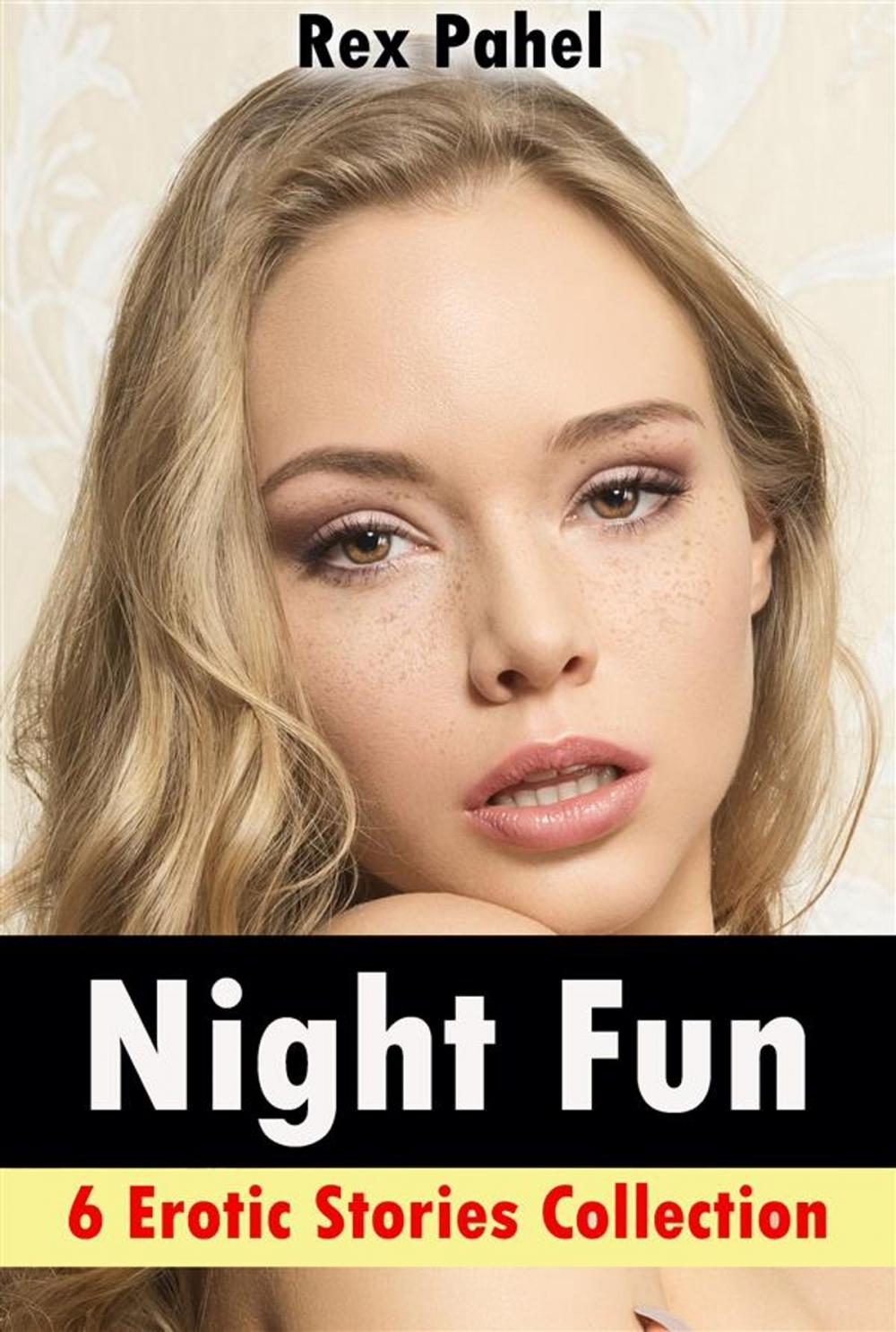 Big bigCover of Night Fun: 6 Erotic Stories Collection