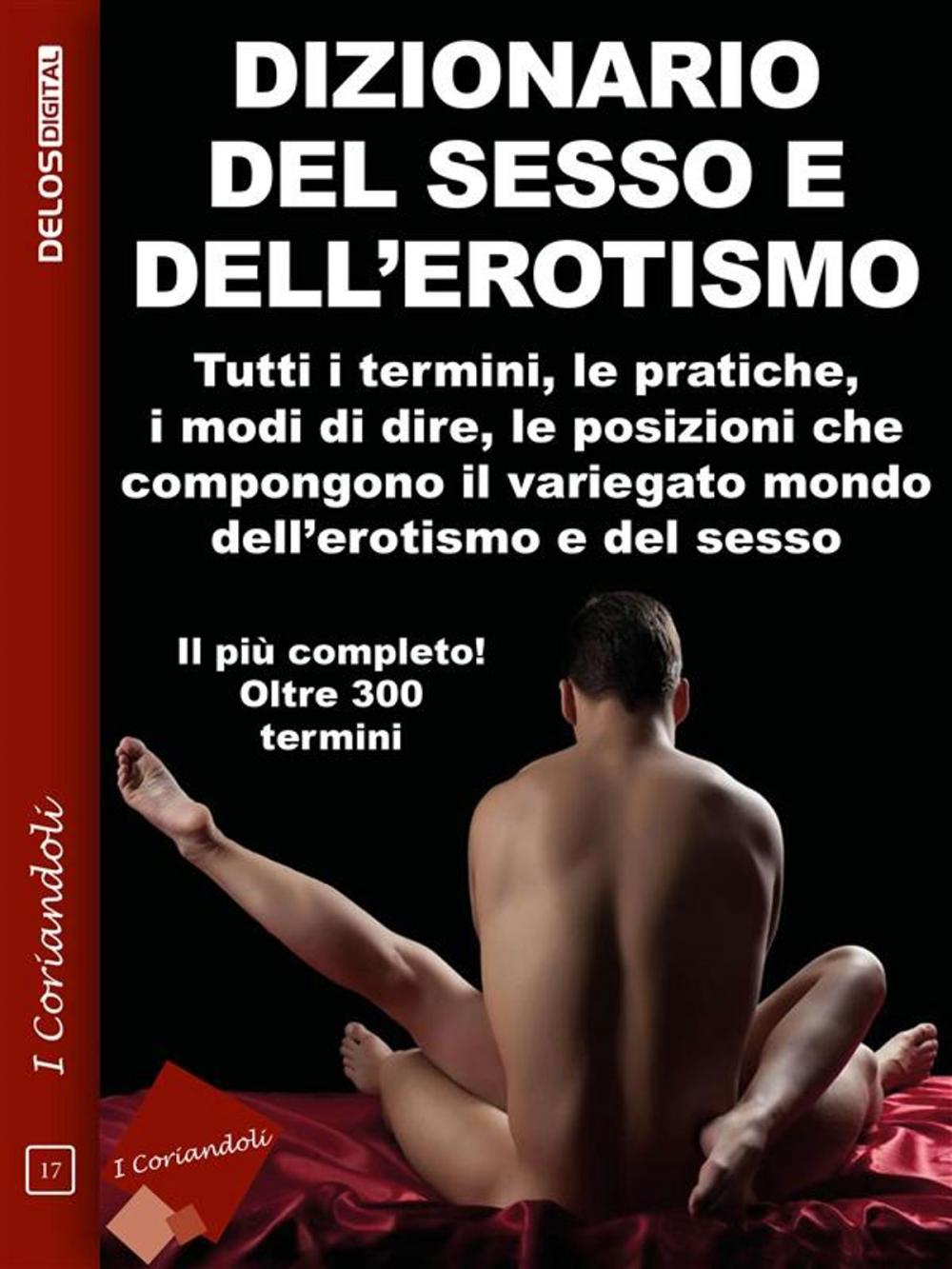 Big bigCover of Dizionario del sesso e dell'erotismo