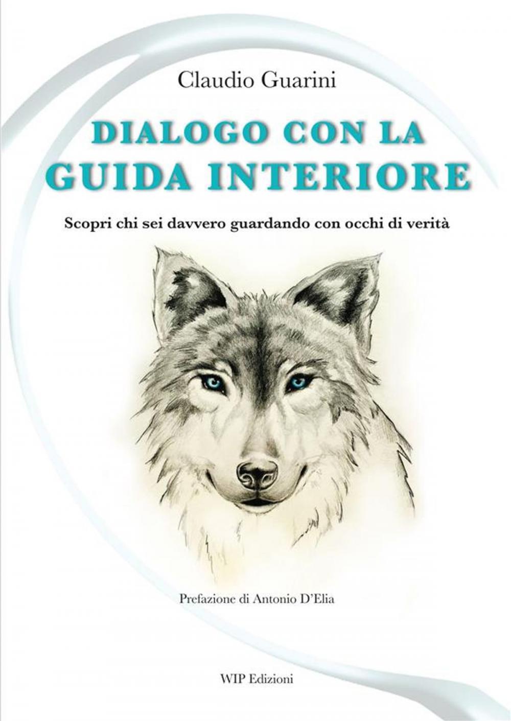 Big bigCover of Dialogo con la guida interiore