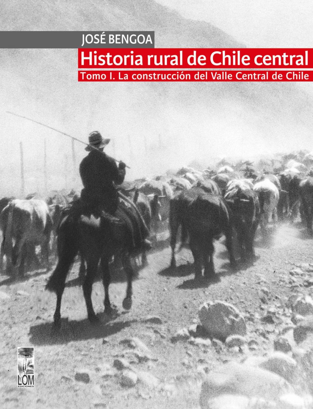 Big bigCover of Historia rural de Chile central. TOMO I