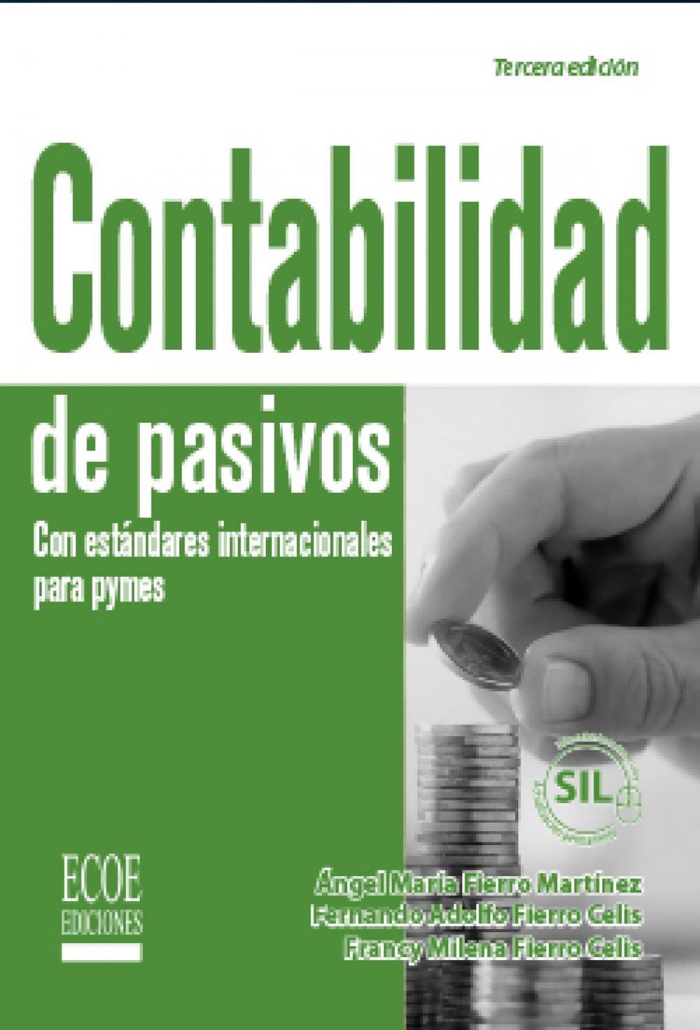 Big bigCover of Contablidad de pasivos con estándares internacionales por pymes