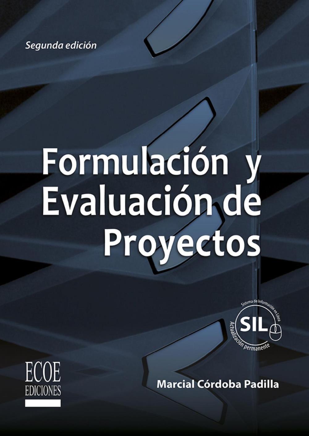 Big bigCover of Formulación y evaluación de proyectos