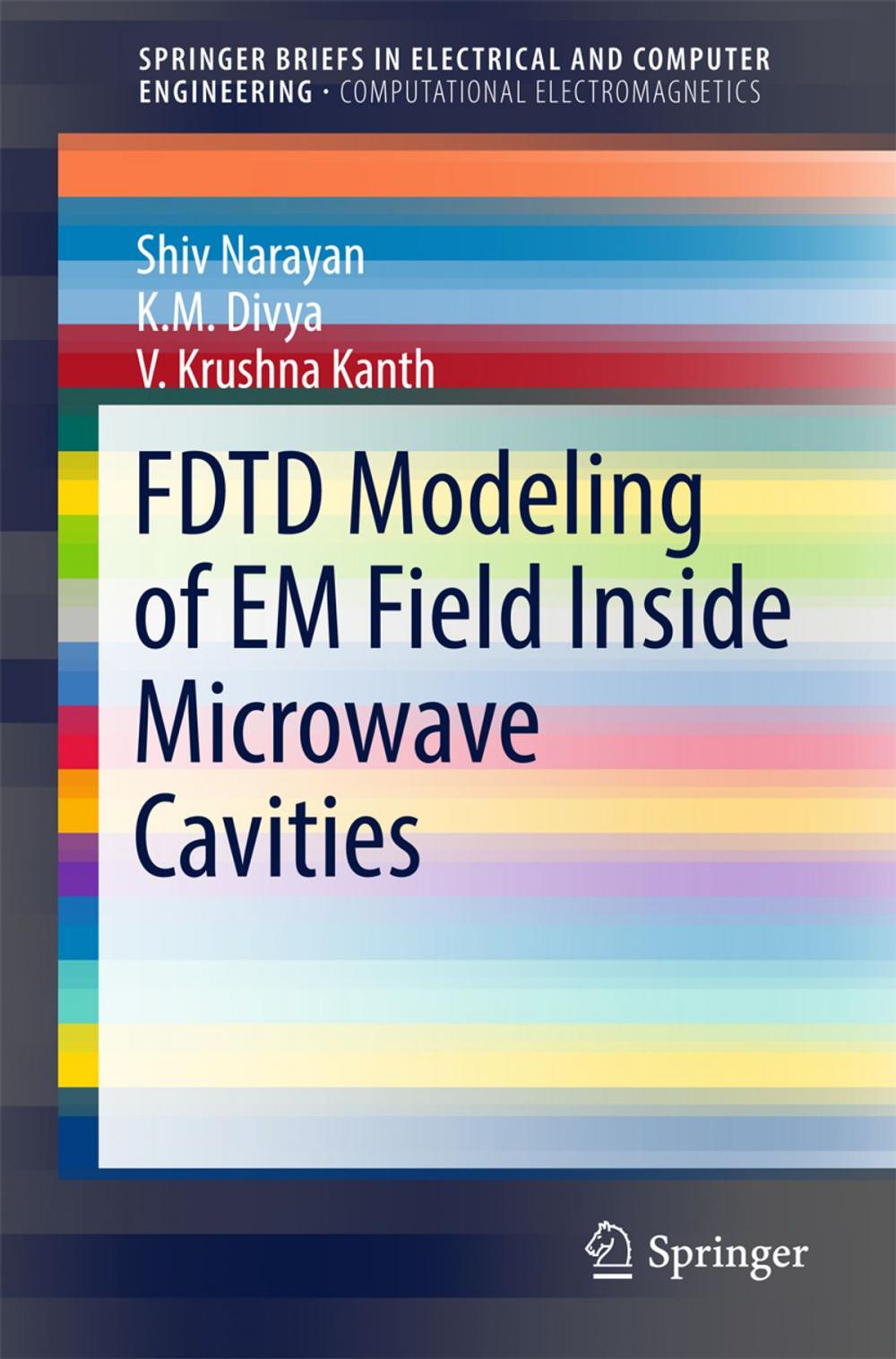 Big bigCover of FDTD Modeling of EM Field inside Microwave Cavities