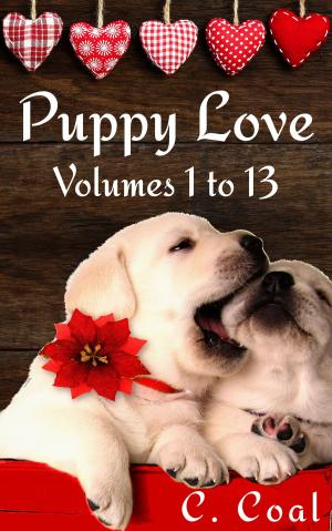 bigCover of the book Puppy Love (Volumes 1 to 13) by 