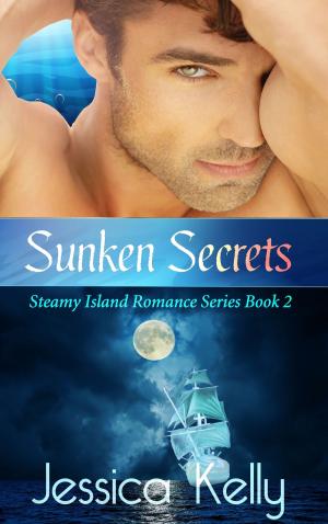 Cover of the book Sunken Secrets by Nicole Ellis