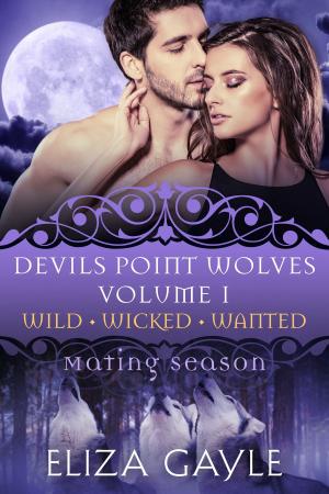 Cover of the book Devils Point Wolves Volume 1 Bundle by Kashif Ross