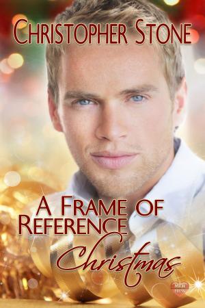 Cover of the book A Frame of Reference Christmas by Shawn Bailey