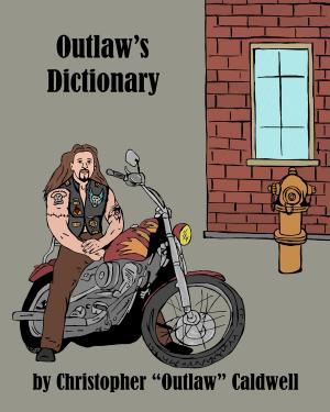 Cover of the book Outlaw's Dictionary by Craig A. Williams